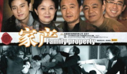 家产电视剧,家族荣耀与权力角逐的传奇史诗
