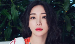 女明星 网红,璀璨星光下的网络新势力