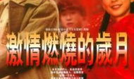 激情燃烧的岁月电视剧,烽火岁月里的青春传奇
