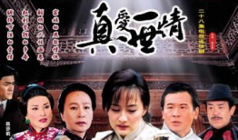 十大苦情催泪电视剧,泪洒荧屏，共度悲欢离合