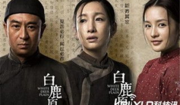 白鹿原电视剧分集介绍,家族恩怨，命运交织