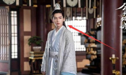 公子倾城电视剧,风华绝代，爱恨情仇